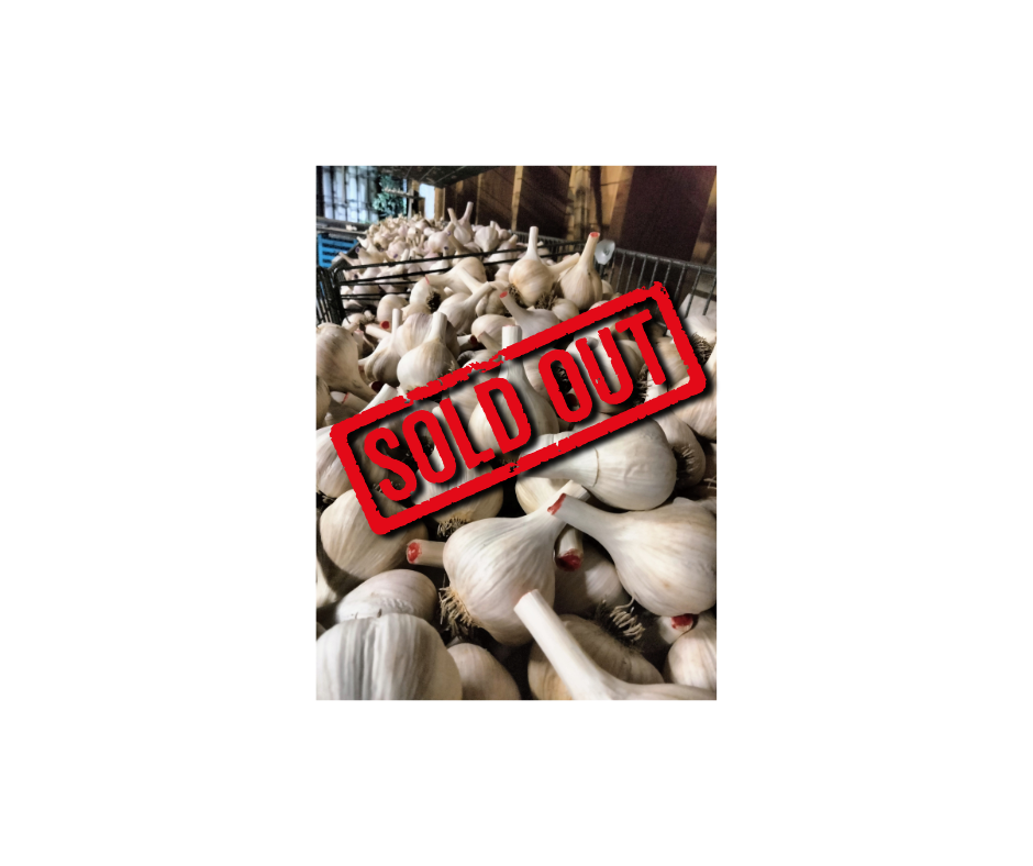 1/4 lb Garlic
