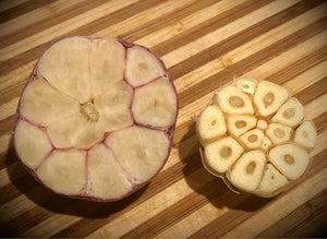 Grocery Store garlic vs. Conley Farms' bodacious bulbs....what's the diff?