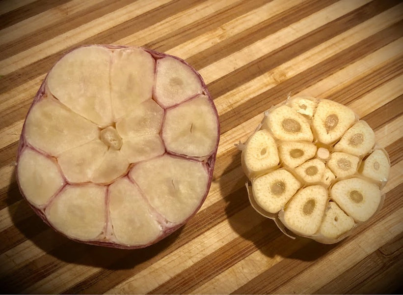 Grocery Store garlic vs. Conley Farms' bodacious bulbs....what's the diff?