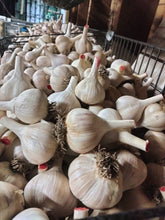 1 lb Garlic