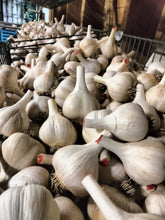 1/2 lb Garlic